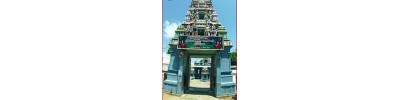 மேல் படப்பை